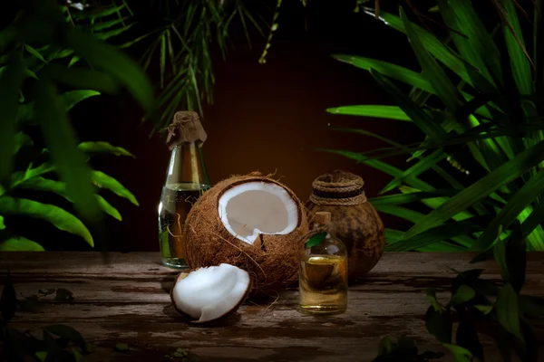 Vue rapprochée de belle noix de coco fraîche sur fond de feuille verte — Photo