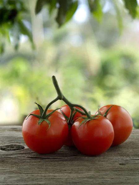 Close up view of nice fresh cherry tomatoes on wooden table — Stock Photo, Image