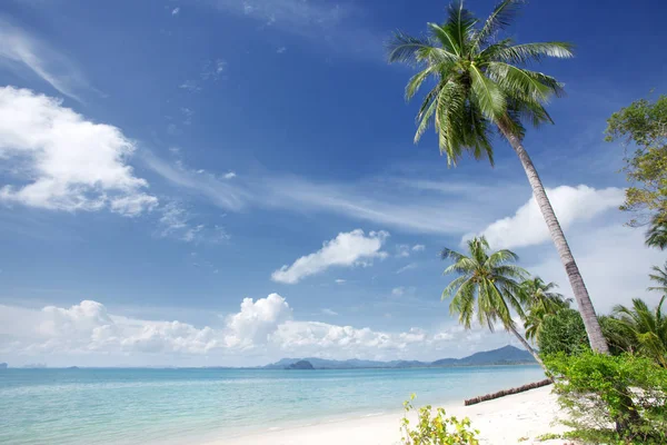 Kilátás a szép trópusi strand néhány tenyérrel — Stock Fotó