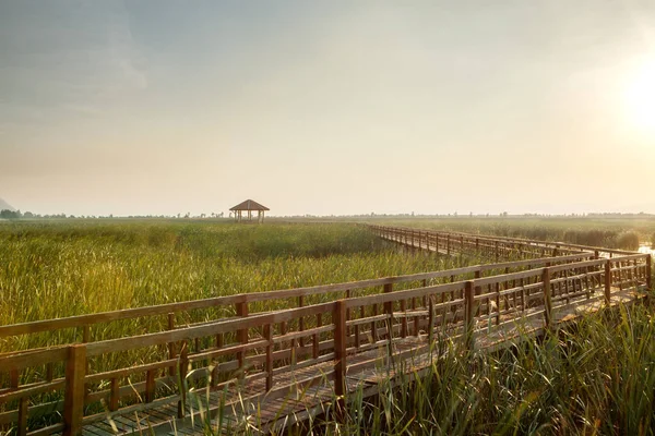 Panoramisch uitzicht op mooie groene valleyon blauwe hemelachtergrond — Stockfoto