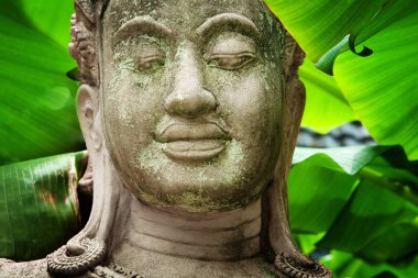 yeşil arka eski beton Buda heykelinin görünümü kadar kapatın