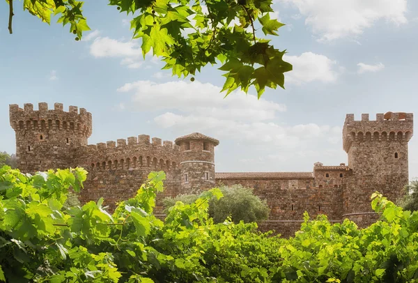 Vista panorámica del castillo de los reyes viejos agradables en ambiente del verano —  Fotos de Stock