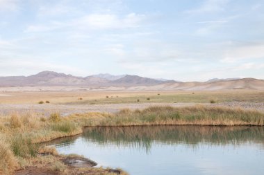 tecopa sıcak görünümünü Mojave çölünde, Nenada küçük su birikintisi yaylar