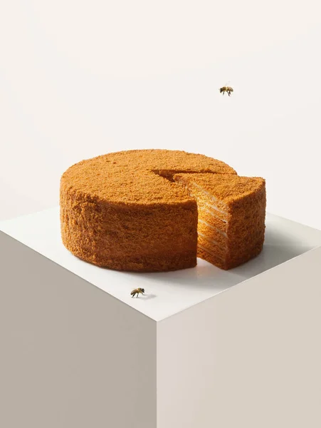 Vista de cerca de la torta de miel deliciosa fresca agradable en la espalda blanca —  Fotos de Stock