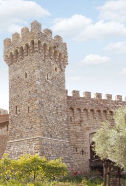 panoramik manzaralı güzel eski kralların kale yaz çevre