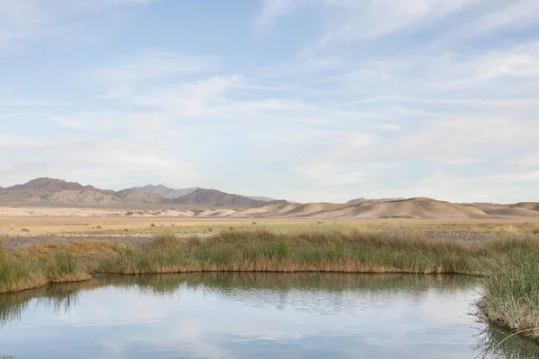 Вид на Текопа горячие источники маленький пруд в пустыне Мохаве, Ненада — стоковое фото