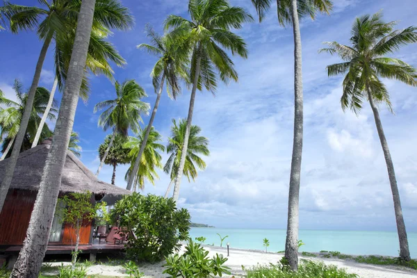 Vue sur les jolies cabanes exotiques sur la plage tropicale — Photo