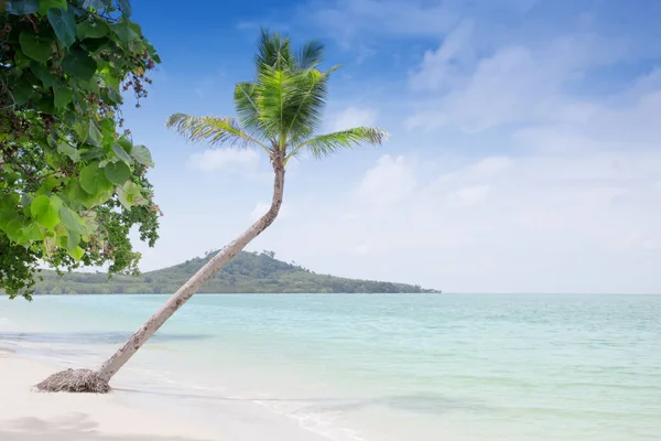 Kilátás a szép trópusi strand néhány tenyérrel — Stock Fotó