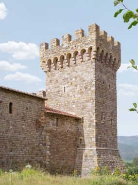 panoramik manzaralı güzel eski kralların kale yaz çevre