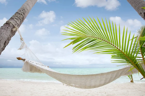 Vista di una bella gobba con palme intorno in ambiente tropicale — Foto Stock