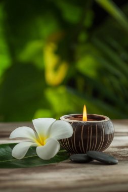 spa Tema nesnelerin bir görünümünü yeşil sırt yukarıya kapatmak