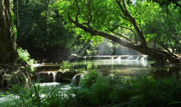 Vista panorámica de una bonita cascada y estanque en un entorno tropical verde —  Fotos de Stock