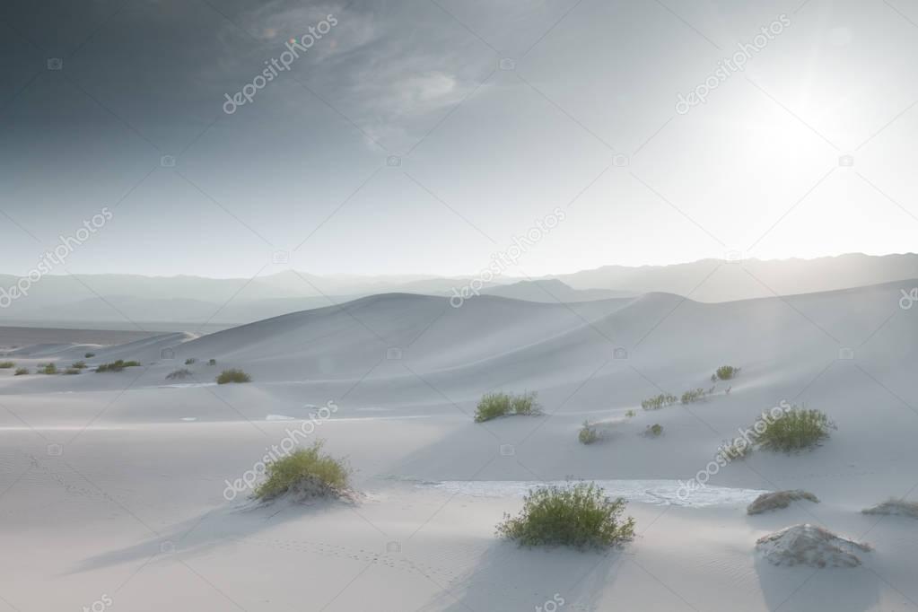 view of nice sands dunes at Sands Dunes National Park