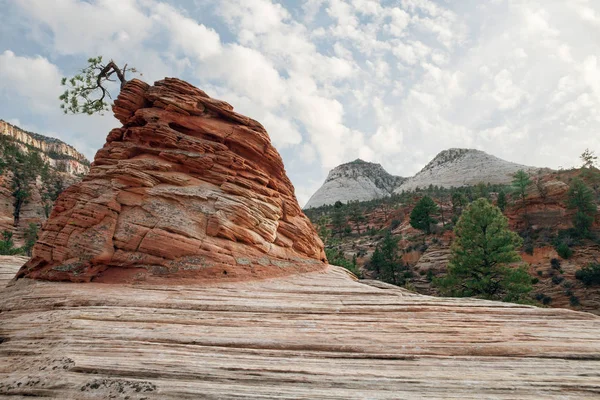 Visa trevligt giant Rock i Zion national park — Stockfoto