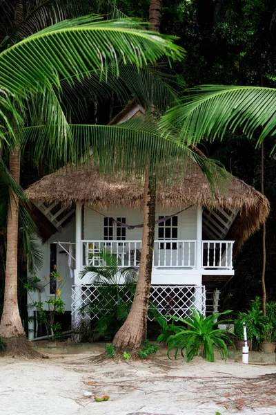 Uitzicht Mooie Bamboe Hut Zomerse Omgeving — Stockfoto