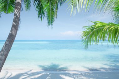 Palmiyeli güzel bir tropik sahil manzarası.