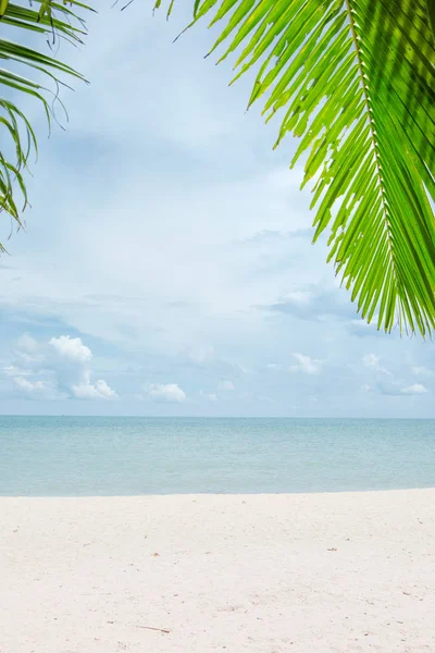 Blick Auf Schönen Tropischen Strand Mit Einigen Palmen — Stockfoto