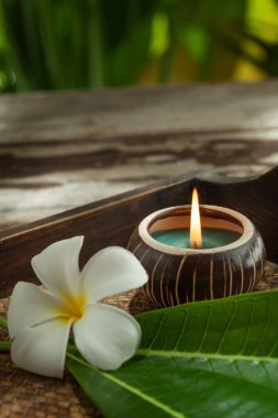 spa Tema nesnelerin bir görünümünü yeşil sırt yukarıya kapatmak