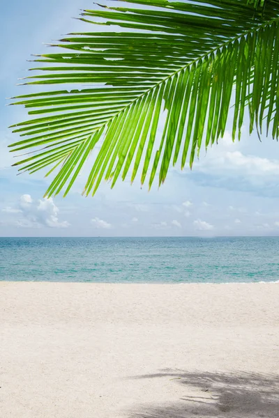 Widok Ładną Tropikalną Plażę Palmami — Zdjęcie stockowe