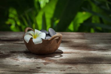 gri taş görünümü kapatın ve arka plan rengi üzerinde çiçek. 