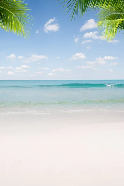 Blick Auf Schönen Tropischen Strand Mit Einigen Palmen — Stockfoto