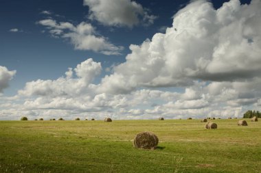Güzel yeşil çimlerin ve mavi gökyüzünün manzarası