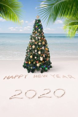 Güzel bir Noel ve yeni yıl temalı tropikal plaj manzarası 