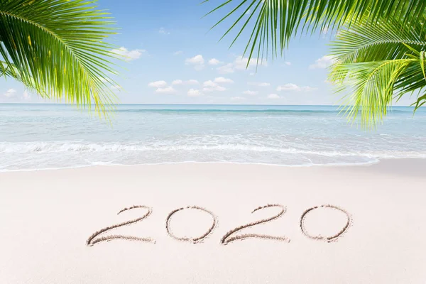 View Nice Christmas New Year Theme Tropical Beach — Stock Photo, Image