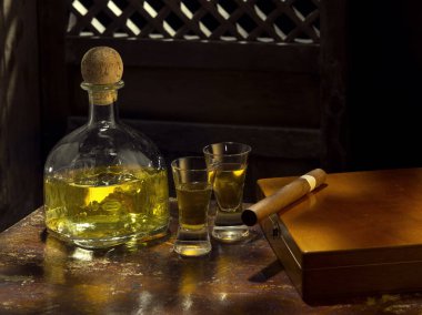 Renkli arka planda tekila anejo ve puro şişesini kapat
