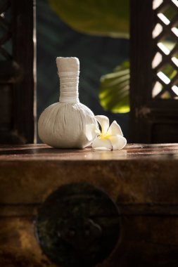 Arkadaki beyaz bitkisel sıkıştırma görüntüsünü kapat. 