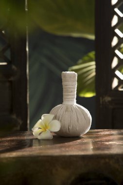 Beyaz bitkisel kompres görüntüsünü kapat. 