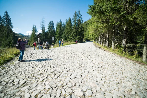 Kuznice Polen September Begin Van Weg Die Leidt Naar Kasprowy — Stockfoto