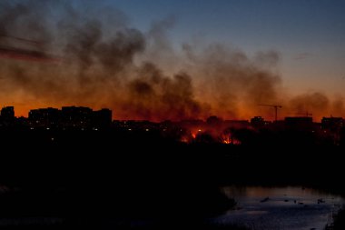Parcul Doğal Vacaresti veya Delta Vacaresti 'de 3 hektardan fazla bitki örtüsü, Bükreş, Romanya' nın güneyinde şiddetli rüzgarlarla körüklenen otlar tarafından yakıldı