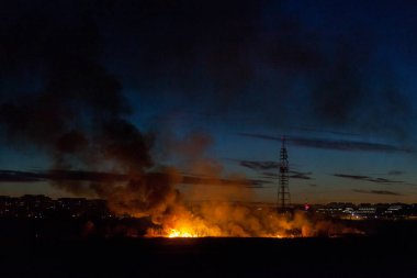 Parcul Doğal Vacaresti veya Delta Vacaresti 'de 3 hektardan fazla bitki örtüsü, Bükreş, Romanya' nın güneyinde şiddetli rüzgarlarla körüklenen otlar tarafından yakıldı