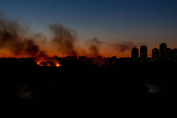 Grass Fire Parcul Natural Vacaresti Delta Vacaresti Vegetation Burned Fanned — Stock Photo, Image