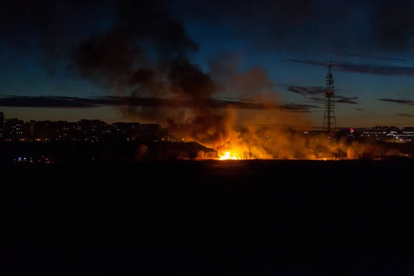 Grass Fire Parcul Natural Vacaresti Delta Vacaresti Vegetation Burned Fanned — Stock Photo, Image