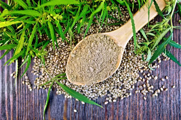 Harina de cáñamo en cuchara con hoja y grano a bordo — Foto de Stock