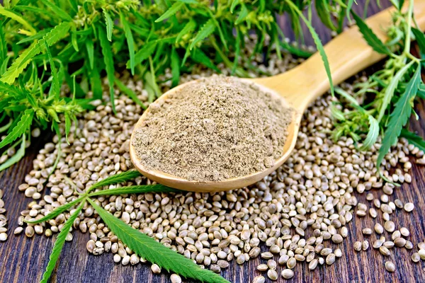 Flour hemp in spoon with leaf and grain on board — ストック写真