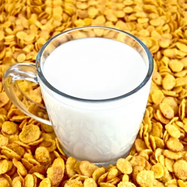 Молоко с хлопьями кукурузы — стоковое фото