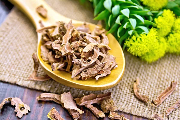 Ξηρά ρίζα Rhodiola rosea στο κουτάλι σε χαρτοπετσέτα — Φωτογραφία Αρχείου