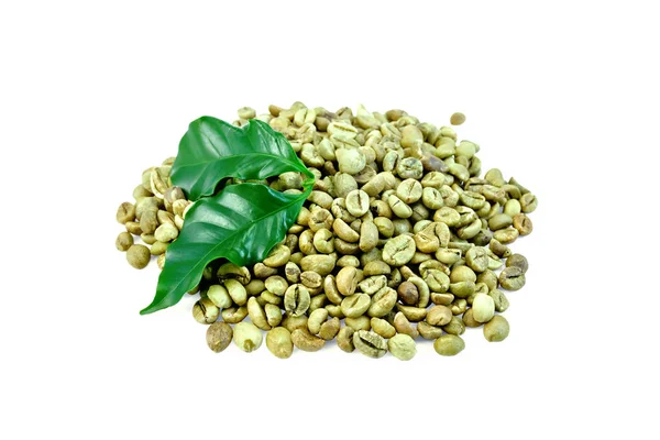 Grano verde café con hoja —  Fotos de Stock