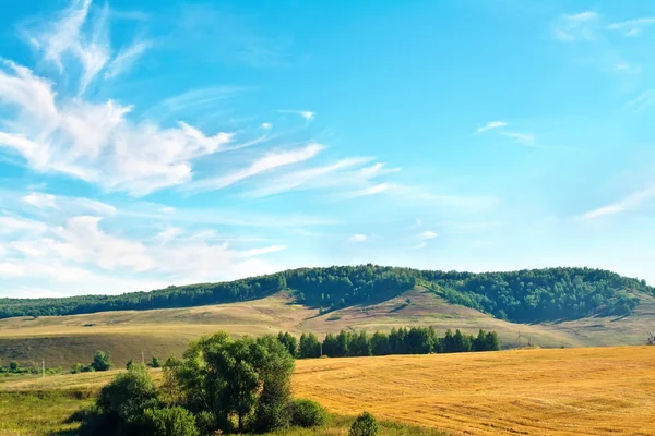 Landscape with hills and bread field — Stock Photo, Image