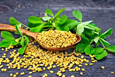 Fenugreek with leaf in spoon on board clipart