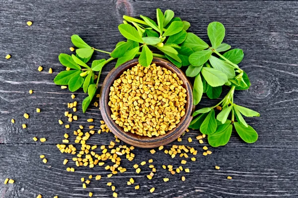 Bockhornsklöver med blad i skål ombord på toppen — Stockfoto