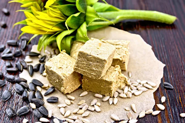 Halva auf Papier mit Sonnenblume — Stockfoto