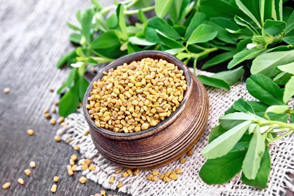 Fenugreek in bowl with leaves on wooden board — 스톡 사진