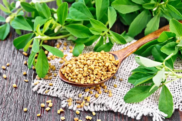 Fenugreek in spoon with leaves on wooden board — ストック写真