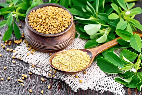 Fenugreek in spoon and bowl with green leaves on wooden board — Stock Photo, Image