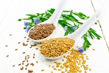Flaxen white and brown in two spoons on wooden board