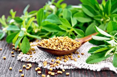 Kaşıklı FenuGreek, üzerinde yapraklar var.